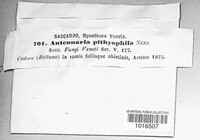 Image Associated With the Occurrence